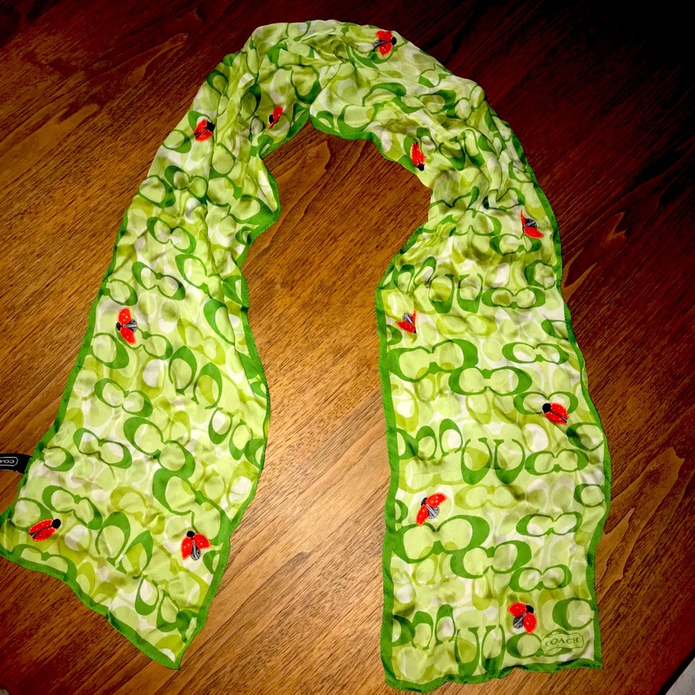 Stylish Colorful Whimsical Silk Scarf